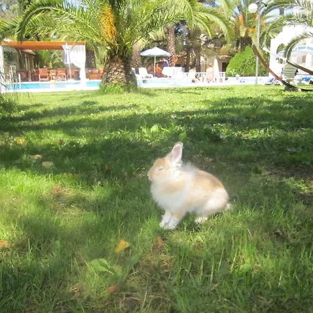 Marylin Sidari (Corfu)
